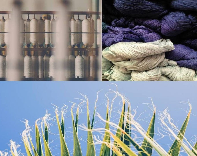 What else we here for? Heelium's Vision and Purpose